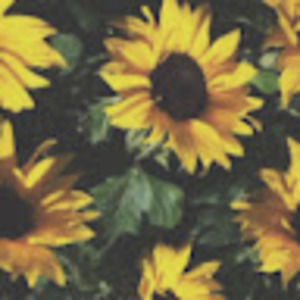 Meet your Posher, Payton